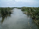 2004-09-13 001.JPG